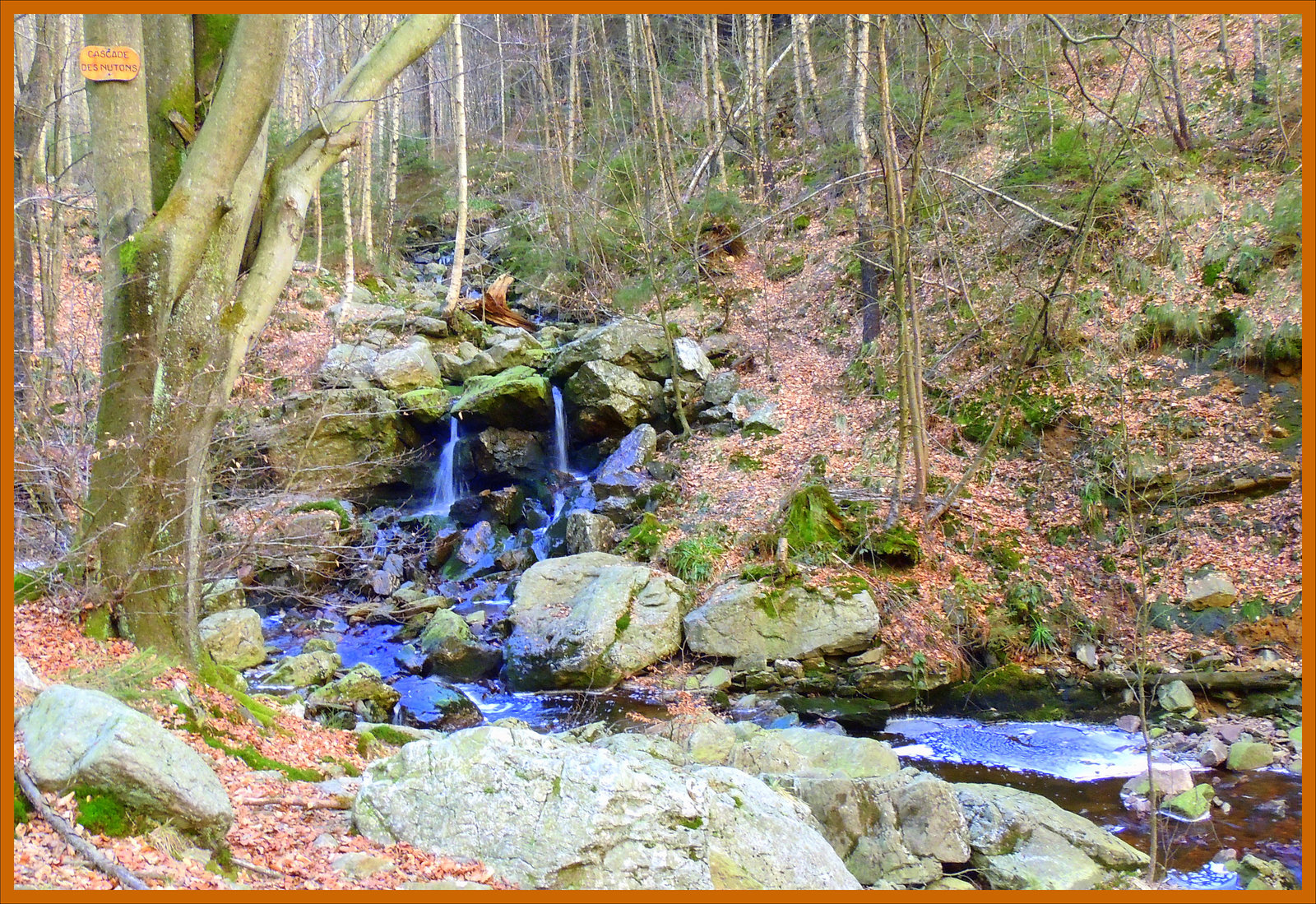 Cascate de Nuttons//Ruisseau