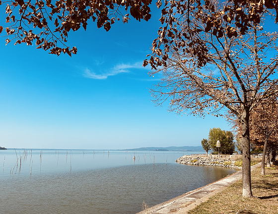 Una passeggiata lungo il lago.