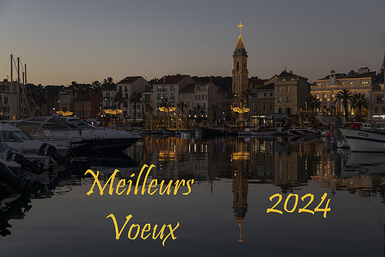 Vœux 2024