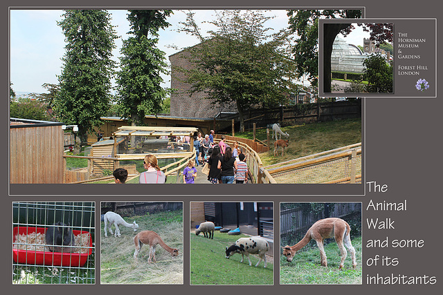 Horniman Museum & Gardens - The Animal Walk  - 8.8.2013