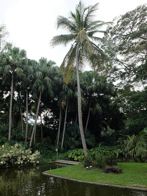 Guadeloupe