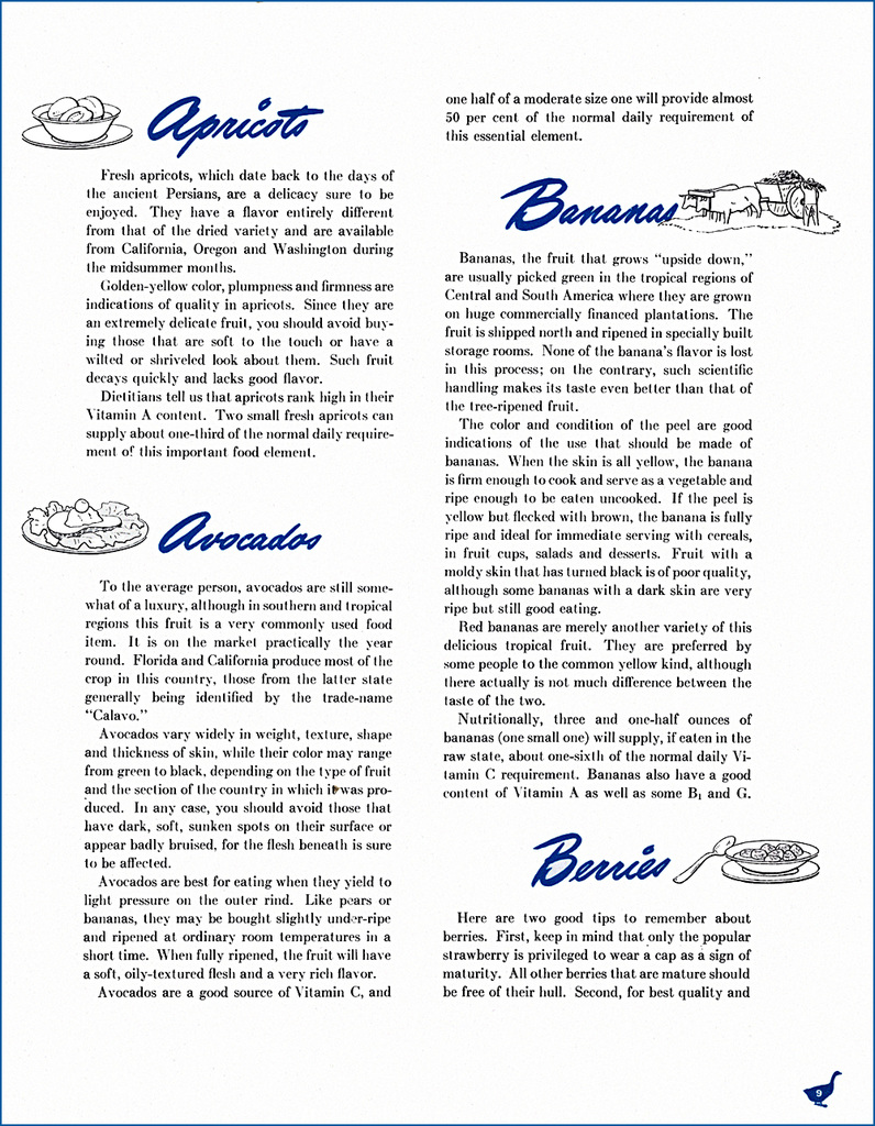 The Blue Goose Buying Guide (9), c1946