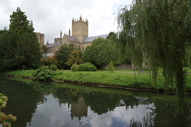 Reflections Of Wells Cathedral