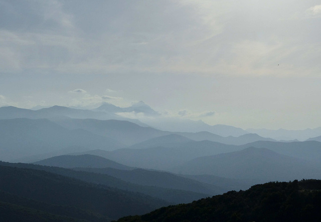 Corsica