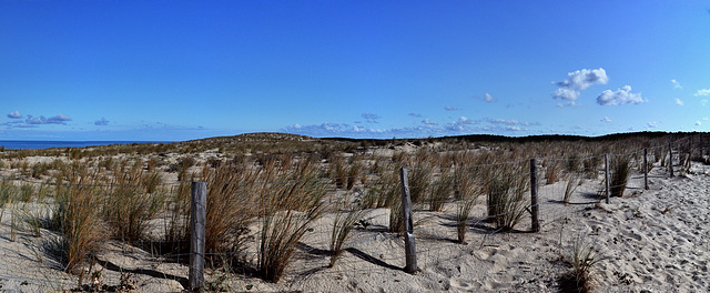 Cycling from Bordeaux Vineyards to the Atlantic Coast/ Lacanau Océan  PiP