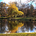 November im Schlosspark