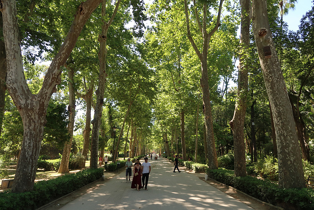 Parque de Maria Luisa