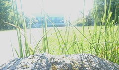 Stone & Grass