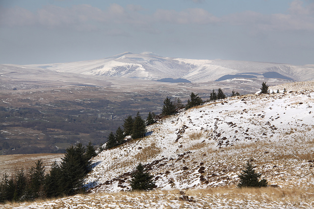 The Beacons