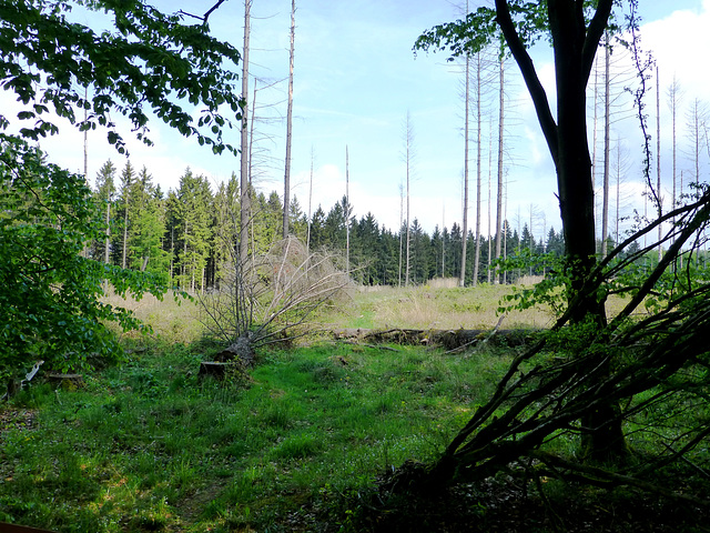 DE - Heimbach - Kermeter ridge