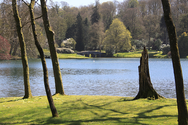 Stourhead Gardens