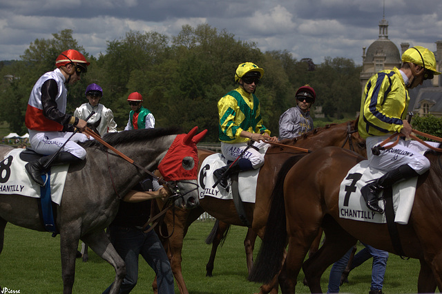 Une après-midi de courses à Chantilly