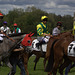 Une après-midi de courses à Chantilly