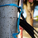 Penedos, Blue rope