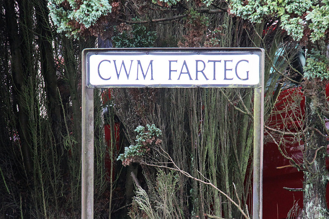 Cwm Farteg