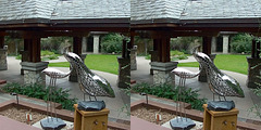 LA County Arboretum stereoscopy 14