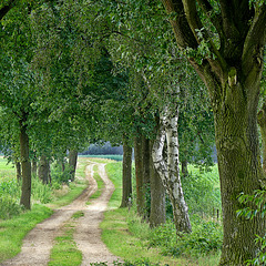 Das Wandern...