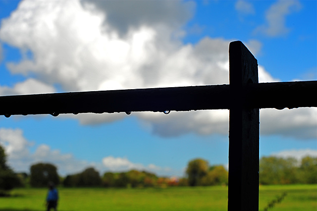 Raindrops Clinging to Estate Fencing