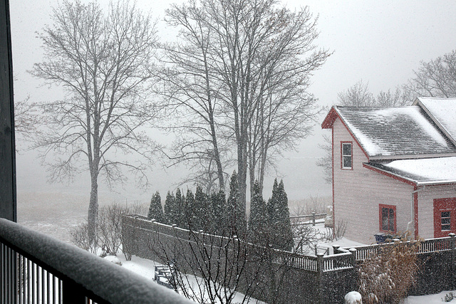 Snowfall, Mill Cove