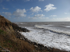 Castlehaven, Niton