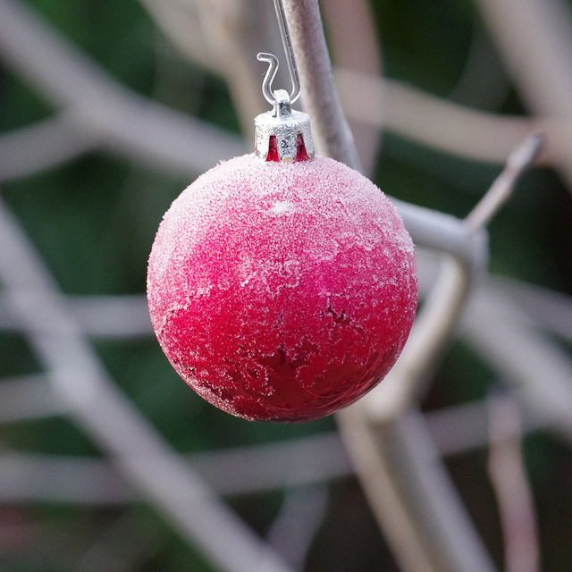 Frosty bauble