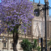 Catedral de Sevilla