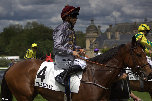 Une après-midi de courses à Chantilly