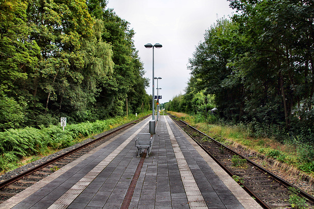 Bahnhof Dorsten-Rhade / 20.07.2024