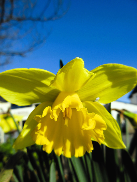 un air de printemps