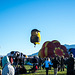 Albuquerque balloon fiesta10