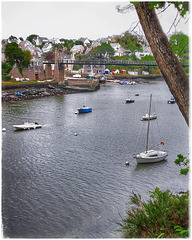 photo 40-Bretagne - Morbihan - Vendée 05.2019