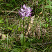 20250503 Forêt Blandas (18)