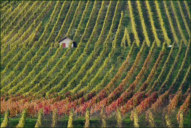 Winzige Winzerwohnung:)