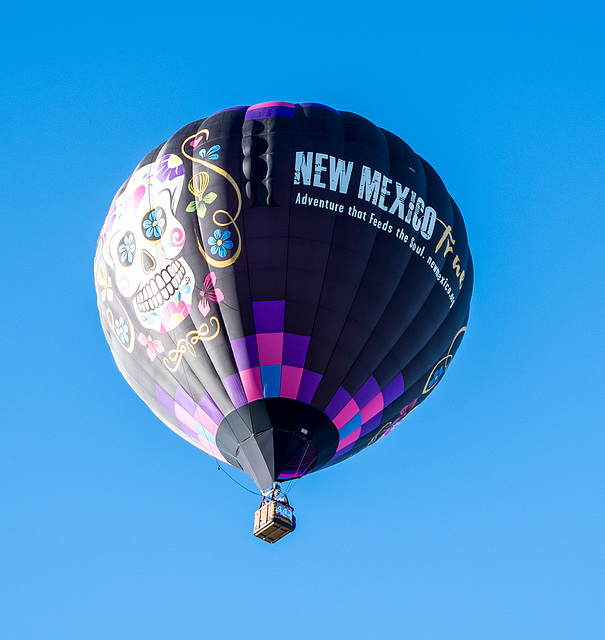 Albuquerque balloon fiesta12