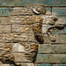 Detail of the Babylonian Lion Facing Right in the Metropolitan Museum of Art, September 2019