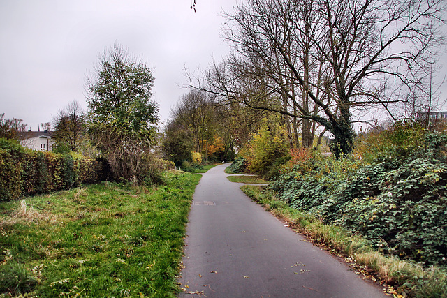 Radweg auf der ehem. Trasse der Rheinische Eisenbahn (Dortmund-Innenstadt-Ost) / 9.11.2024