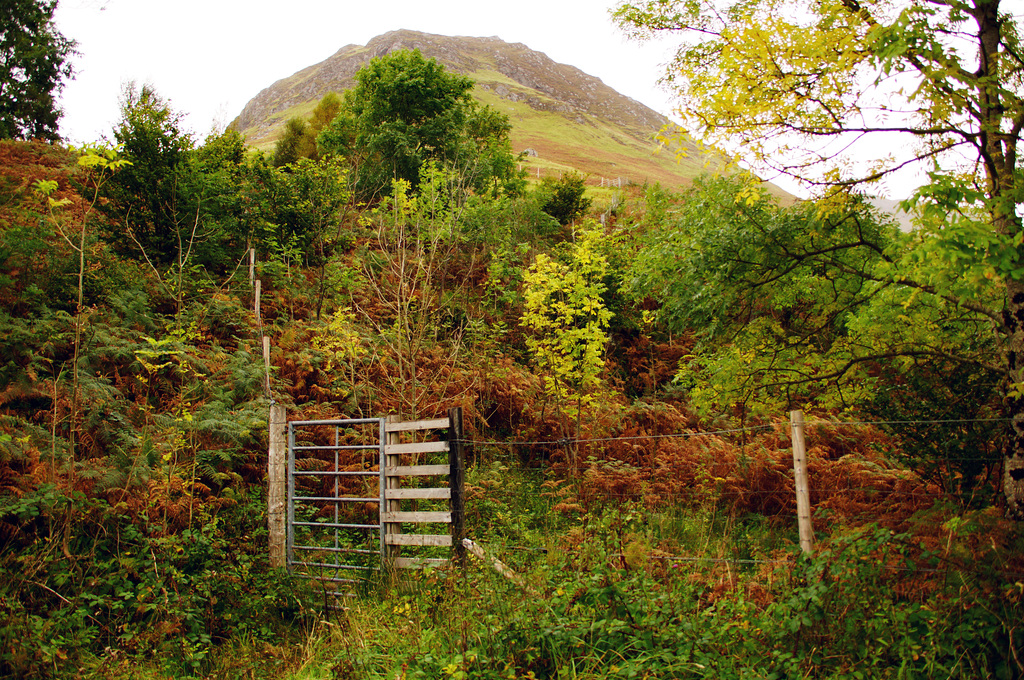 Wild and Autumnal  HFF!