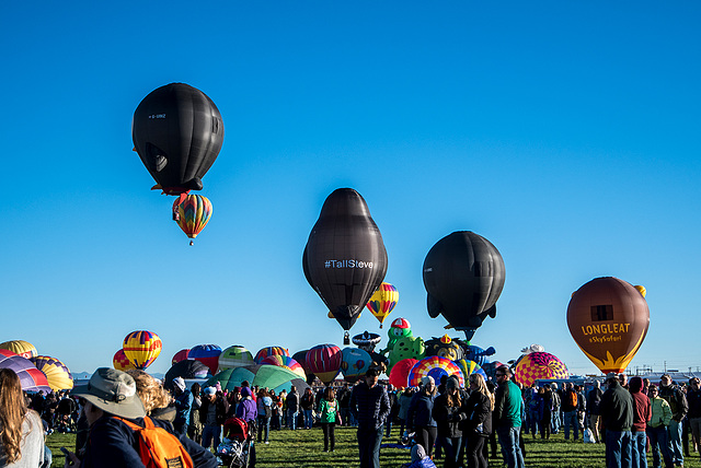 Albuquerque balloon fiesta14