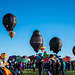 Albuquerque balloon fiesta14