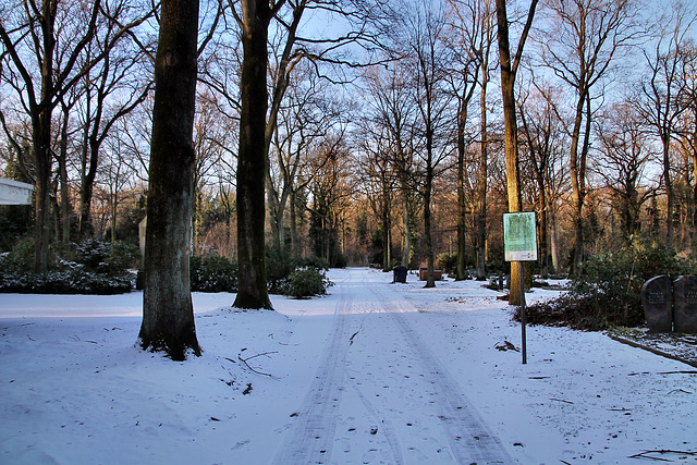 Friedhof Ehingen, schneebedeckter Weg (Duisburg-Hüttenheim) / 20.01.2024