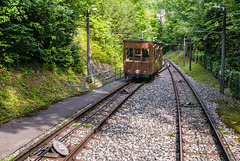Erbschleicher-Express