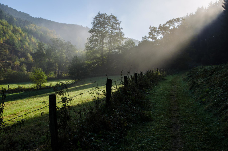 Herbst im Sauerland (3)