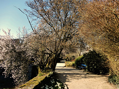 promenade PONT AVEN