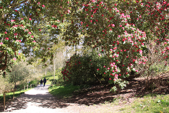 Stourhead Gardens