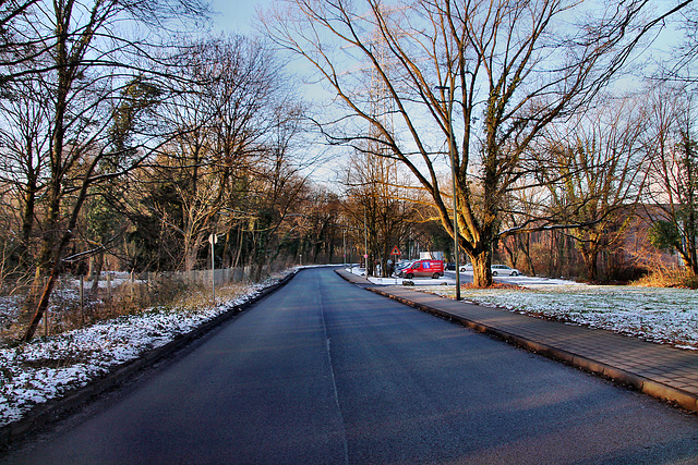 Im Haselbusch (Duisburg-Hüttenheim) / 20.01.2024