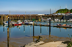 The Fair Breeze Blew...But Not Today! The Fair Breeze Blew...But Not Today!