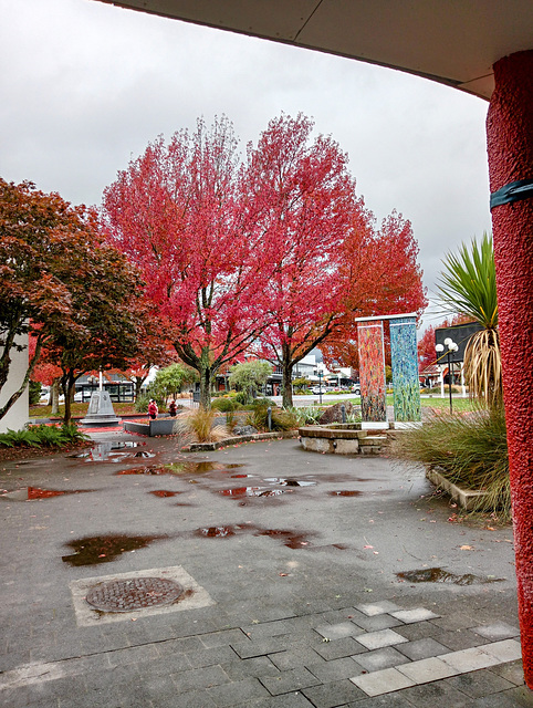 At Taupo.