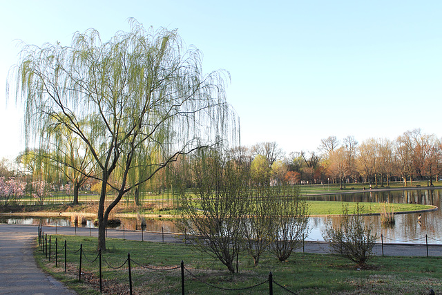 Constitution Gardens