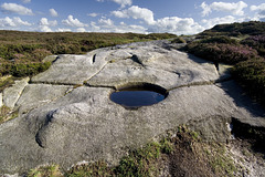 Grouse drinking basin 22, Stanage Edge, Yorkshire