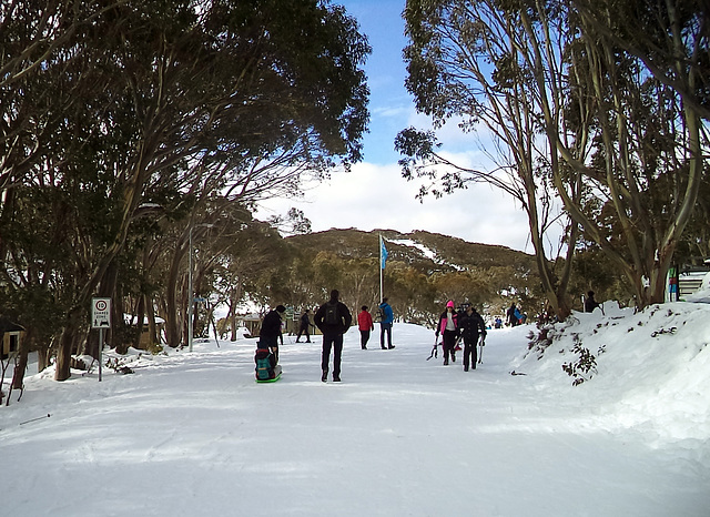 Mt Baw Baw day trip